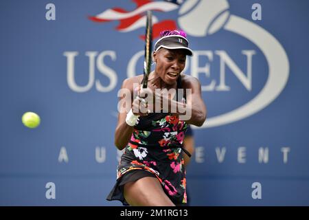 American venus Williams photographié lors du premier match entre le Belge Kirsten Flipkens (WTA 12) et le US venus Williams lors du tournoi de tennis américain Open Grand Chelem, à Flushing Meadows, à New York City, États-Unis, le lundi 26 août 2013. BELGA PHOTO YORICK JANSENS Banque D'Images