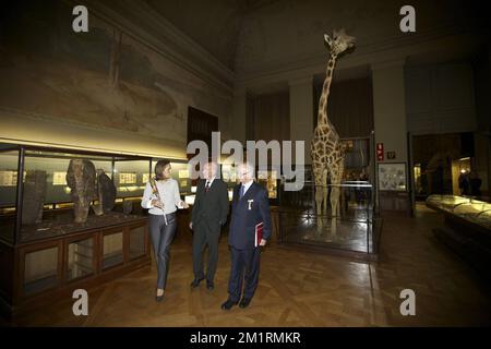 Princesse Claire de Belgique photographiée lors d'une réception au Musée royal de l'Afrique centrale à Tervuren en présence du Prince Laurent de Belgique et de la princesse Claire de Belgique, le jeudi 19 septembre 2013. Le musée célèbre son anniversaire de 80th. BELGA PHOTO NICOLAS MATERLINCK Banque D'Images