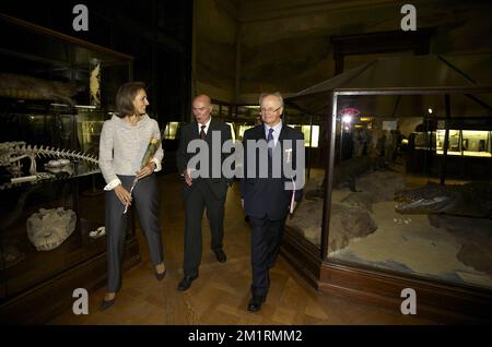 Princesse Claire de Belgique photographiée lors d'une réception au Musée royal de l'Afrique centrale à Tervuren en présence du Prince Laurent de Belgique et de la princesse Claire de Belgique, le jeudi 19 septembre 2013. Le musée célèbre son anniversaire de 80th. BELGA PHOTO NICOLAS MATERLINCK Banque D'Images
