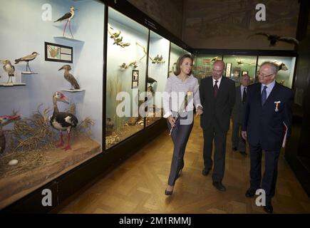 Princesse Claire de Belgique photographiée lors d'une réception au Musée royal de l'Afrique centrale à Tervuren en présence du Prince Laurent de Belgique et de la princesse Claire de Belgique, le jeudi 19 septembre 2013. Le musée célèbre son anniversaire de 80th. BELGA PHOTO NICOLAS MATERLINCK Banque D'Images