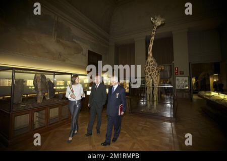 Princesse Claire de Belgique photographiée lors d'une réception au Musée royal de l'Afrique centrale à Tervuren en présence du Prince Laurent de Belgique et de la princesse Claire de Belgique, le jeudi 19 septembre 2013. Le musée célèbre son anniversaire de 80th. BELGA PHOTO NICOLAS MATERLINCK Banque D'Images