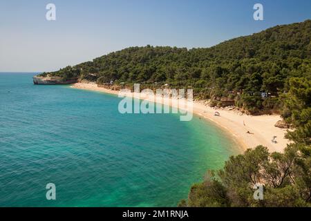 Plage de Spiaggia di Baia di Campi sur le promontoire Gargano, Pugnochiuso, province de Foggia, Puglia, Italie, Europe Banque D'Images