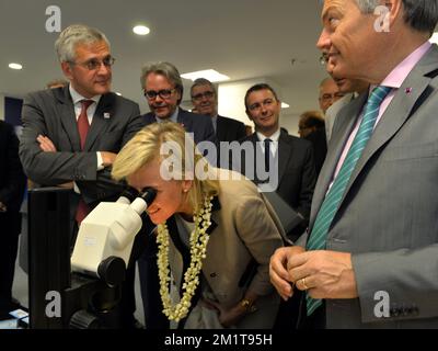 20131126 - MUMBAI, INDE: Le ministre-président flamand Kris Peeters, la princesse Astrid de Belgique et le vice-premier ministre et ministre des Affaires étrangères Didier Reynders photographiés lors d'une visite du HRD Antwerpen Diamond Lab à Mumbai, Inde, le mardi 26 novembre 2013, le troisième jour d'une mission économique de la princesse belge Astrid en Inde. BELGA PHOTO ERIC LALMAND Banque D'Images