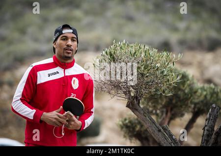 20140109 - LA MANGA, ESPAGNE : William Vainqueur de Standard photographié lors d'une session d'entraînement le cinquième jour du camp d'hiver de l'équipe belge de football de première division Standard de Liège à la Manga, Espagne, jeudi 09 janvier 2014. BELGA PHOTO NICOLAS LAMBERT Banque D'Images