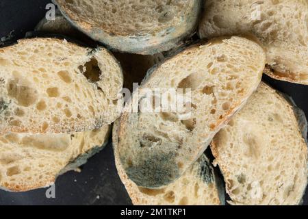 Moulez le pain sur un fond noir. Le danger de moisissure, de produits périmés. Banque D'Images