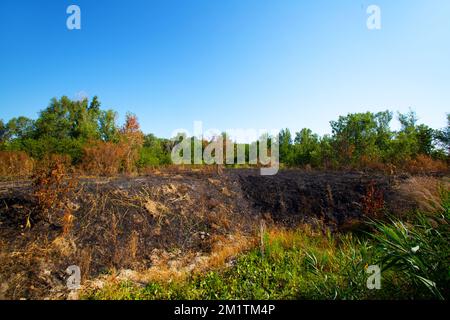 Paysage, champ brûlé dans la vallée du po, Parme Banque D'Images