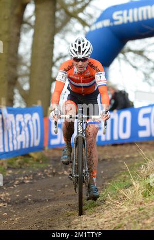 20140201 / HOOGERHEIDE/ cette photo montre Marianne vos au Championnat du monde Cyclocross à Hoogerheide / WK / CX/ photos de Kris Claeyé Banque D'Images