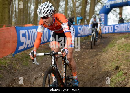 20140201 / HOOGERHEIDE/ cette photo montre Marianne vos au Championnat du monde Cyclocross à Hoogerheide / WK / CX/ photos de Kris Claeyé Banque D'Images