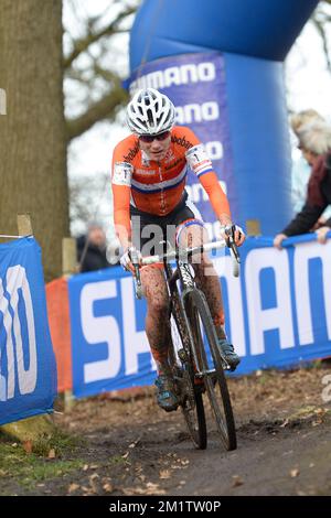 20140201 / HOOGERHEIDE/ cette photo montre Marianne vos au Championnat du monde Cyclocross à Hoogerheide / WK / CX/ photos de Kris Claeyé Banque D'Images