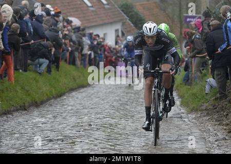 Néerlandais Niki Terpstra de l'équipe Omega Pharma - Quick Step photographié lors de l'édition 69th de la course cycliste Omloop Het Nieuwsblad, samedi 01 mars 2014, à Gand. Banque D'Images