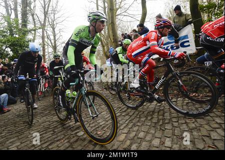 Belge Sep Vanmarcke de l'équipe cycliste Belkin Pro et Norwegian Thor Hushovd de l'équipe de course BMC photographiés lors de l'édition 69th de la course cycliste Omloop Het Nieuwsblad, samedi 01 mars 2014, à Gand. Banque D'Images