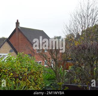 Maisons en briques et plantes de jardin couvertes de givre en hiver en Angleterre. Banque D'Images