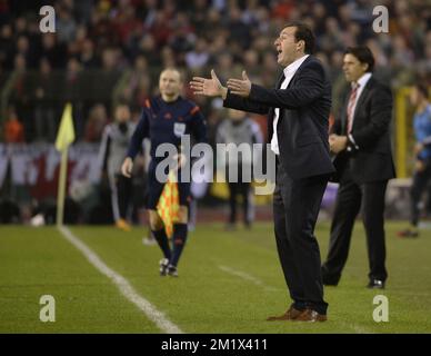 20141116 - BRUXELLES, BELGIQUE : l'entraîneur-chef belge Marc Wilmots photographié lors d'un match de qualification Euro 2016 entre l'équipe nationale belge de football Red Devils et le pays de Galles, dimanche 16 novembre 2014, dans le stade du Roi Baudouin (Boudewijnstadion/ Stade Roi Baudouin) à Bruxelles. BELGA PHOTO DIRK WAEM Banque D'Images