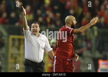 20141116 - BRUXELLES, BELGIQUE : l'entraîneur-chef belge Marc Wilmots photographié lors d'un match de qualification Euro 2016 entre l'équipe nationale belge de football Red Devils et le pays de Galles, dimanche 16 novembre 2014, dans le stade du Roi Baudouin (Boudewijnstadion/ Stade Roi Baudouin) à Bruxelles. BELGA PHOTO BRUNO FAHY Banque D'Images