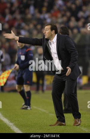 20141116 - BRUXELLES, BELGIQUE : l'entraîneur-chef belge Marc Wilmots photographié lors d'un match de qualification Euro 2016 entre l'équipe nationale belge de football Red Devils et le pays de Galles, dimanche 16 novembre 2014, dans le stade du Roi Baudouin (Boudewijnstadion/ Stade Roi Baudouin) à Bruxelles. BELGA PHOTO DIRK WAEM Banque D'Images