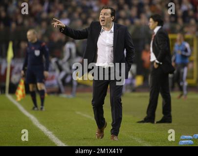 20141116 - BRUXELLES, BELGIQUE : l'entraîneur-chef belge Marc Wilmots photographié lors d'un match de qualification Euro 2016 entre l'équipe nationale belge de football Red Devils et le pays de Galles, dimanche 16 novembre 2014, dans le stade du Roi Baudouin (Boudewijnstadion/ Stade Roi Baudouin) à Bruxelles. BELGA PHOTO DIRK WAEM Banque D'Images