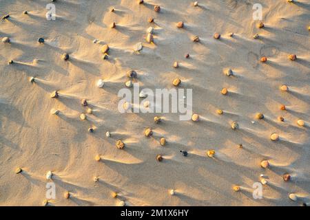 Petits galets colorés sur la plage sous la lumière de l'après-midi, un arrière-plan intéressant de la structure de sable créée par le vent et les ombres Banque D'Images