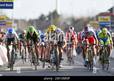 Italien Matteo Trentin de l'équipe Ettix - Quick-Step remporte le sprint pour la troisième place lors de l'édition 58th de la course cycliste 'E3 prijs Vlaanderen Harelbeke', 215,3km de et à Harelbeke, vendredi 27 mars 2015. BELGA PHOTO LUC CLAESSEN Banque D'Images