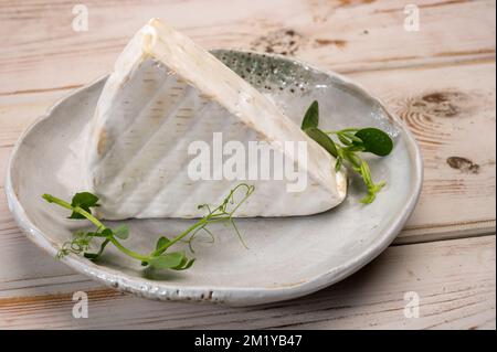 Collection de fromages, fromage français brie de Meaux de la région Seine-et-Marne avec moule blanc en gros plan Banque D'Images