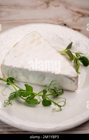 Collection de fromages, fromage français brie de Meaux de la région Seine-et-Marne avec moule blanc en gros plan Banque D'Images