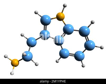 3D image de la formule squelettique de la tryptamine - structure chimique moléculaire du métabolite de l'indolamine isolé sur fond blanc Banque D'Images