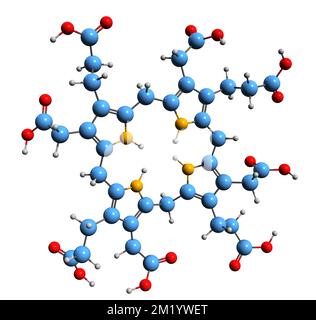 3D image de la formule squelettique de l'uroporphyrinogène I - structure chimique moléculaire de l'intermédiaire métabolique isolé sur fond blanc Banque D'Images