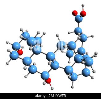 3D image de la formule squelettique de l'acide ursodésoxycholique - structure chimique moléculaire de l'ursodiol isolée sur fond blanc Banque D'Images