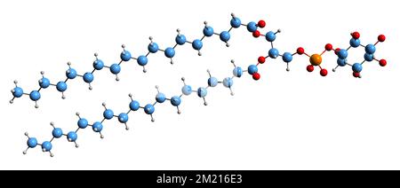 3D image de la formule squelettique du phosphatidylinositol - structure chimique moléculaire de l'Inositol phospholipide isolé sur fond blanc Banque D'Images