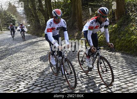 Australian Heinrich Haussler of IAM Cycling photographié en action lors d'une reconnaissance de piste, vendredi 01 avril 2016, avant la course cycliste d'une journée « ronde van Vlaanderen - Tour des Flandres - Tour des Flandres ». Banque D'Images