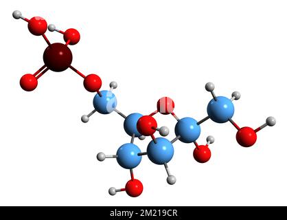 3D image de formule squelettique fructose 6-phosphate - structure chimique moléculaire de l'ester de Neuberg isolé sur fond blanc Banque D'Images