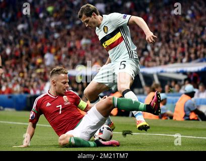 Les Balazs Dzsudzsak de Hongrie et Jan Vertonghen de Belgique se battent pour le ballon lors d'un match de football entre l'équipe nationale belge Red Devils et la Hongrie, lors de la manche de 16 des Championnats d'Europe Euro 2016 de l'UEFA, le dimanche 26 juin 2016, à Toulouse, en France. Le tournoi Euro2016 aura lieu du 10 juin au 10 juillet. BELGA PHOTO DIRK WAEM Banque D'Images