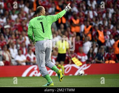 Le gardien de but hongrois Gabor Kiraly réagit lors d'un match de football entre l'équipe nationale belge Red Devils et la Hongrie, lors de la ronde 16 des Championnats d'Europe Euro 2016 de l'UEFA, le dimanche 26 juin 2016, à Toulouse, en France. Le tournoi Euro2016 aura lieu du 10 juin au 10 juillet. BELGA PHOTO DIRK WAEM Banque D'Images