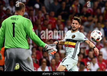 Le gardien de but hongrois Gabor Kiraly et les Dries Mertens belges se battent pour le ballon lors d'un match de football entre l'équipe nationale belge Red Devils et la Hongrie, au tour de 16 des Championnats d'Europe Euro 2016 de l'UEFA, le dimanche 26 juin 2016, à Toulouse, en France. Le tournoi Euro2016 aura lieu du 10 juin au 10 juillet. BELGA PHOTO DIRK WAEM Banque D'Images