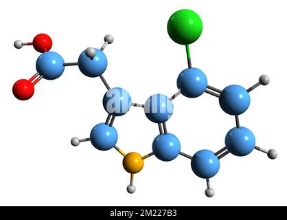 3D image de la formule squelettique de l'acide chloroindoleacétique - structure chimique moléculaire de l'hormone végétale 4-Cl-IAA isolée sur fond blanc Banque D'Images