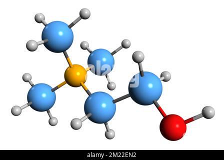 3D image de formule squelettique de choline - structure chimique moléculaire de l'élément nutritif essentiel Bilineurine isolée sur fond blanc Banque D'Images