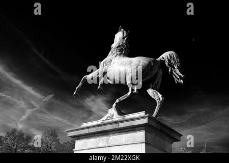 Le cheval de Basse-Saxe dans le Welfengarten en face du campus de l'Université Leibniz à Hanovre, Basse-Saxe, Allemagne Banque D'Images