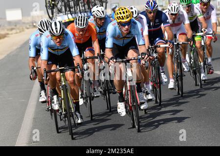 Belge Greg Van Avermaet de BMC Racing Team et Belge Jurgen Roelandts de Lotto Soudal photographiés en action pendant la course sur route d'élite masculine aux Championnats du monde de cyclisme sur route UCI 2016 à Doha, Qatar, dimanche 16 octobre 2016. Banque D'Images