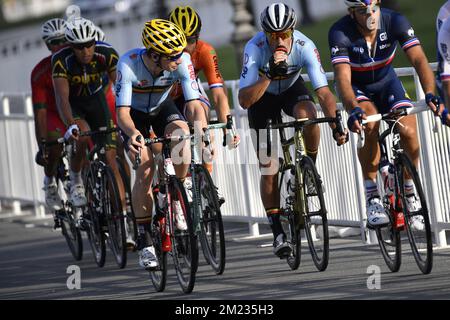 Jurgen Roelandts Belge de Lotto Soudal et Greg Van Avermaet Belge de BMC Racing Team photographiés en action pendant la course sur route d'élite masculine aux Championnats du monde de cyclisme sur route UCI 2016 à Doha, Qatar, une course de 257,5 km de Doha à Doha, le dimanche 16 octobre 2016. Banque D'Images