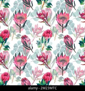 Motif aquarelle sans couture avec protea magenta, fleurs fleuries sur fond floral et feuilles de protea. Banque D'Images