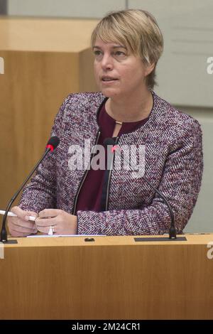 Ministre flamand de l'Environnement, de l'aménagement du territoire et de l'Agriculture Joke Schauvliege photographié lors d'une session plénière du Parlement flamand à Bruxelles, le mercredi 11 janvier 2017. BELGA PHOTO FILIP DE SMET Banque D'Images