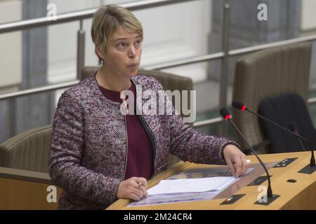 Ministre flamand de l'Environnement, de l'aménagement du territoire et de l'Agriculture Joke Schauvliege photographié lors d'une session plénière du Parlement flamand à Bruxelles, le mercredi 11 janvier 2017. BELGA PHOTO FILIP DE SMET Banque D'Images