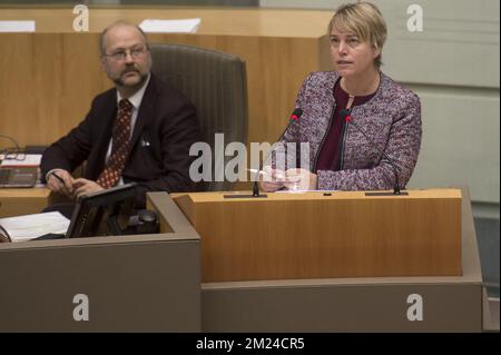 Ministre flamand de l'Environnement, de l'aménagement du territoire et de l'Agriculture Joke Schauvliege photographié lors d'une session plénière du Parlement flamand à Bruxelles, le mercredi 11 janvier 2017. BELGA PHOTO FILIP DE SMET Banque D'Images