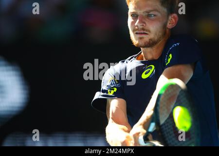 Le Belge David Goffin joue un match de Quaterfinales masculin entre le Belge David Goffin (ATP 11) et le bulgare Grigor Dimitrov (ATP 16) au Grand Chelem de tennis « Australian Open », le mercredi 25 janvier 2017 à Melbourne Park, Melbourne, Australie. Cette première grande slam de la saison a lieu du 16 au 29 janvier. BELGA PHOTO PATRICK HAMILTON Banque D'Images