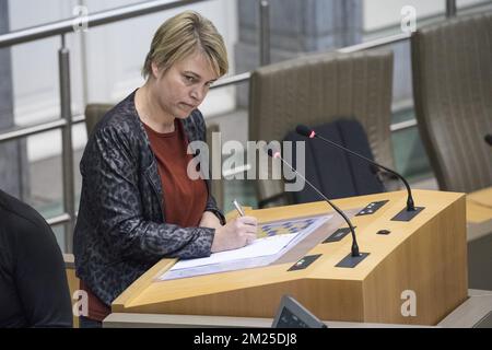 Ministre flamand de l'Environnement, de l'aménagement du territoire et de l'Agriculture Joke Schauvliege photographié lors d'une session plénière du Parlement flamand à Bruxelles, le mardi 21 février 2017. BELGA PHOTO KOEN BLANCKAERT Banque D'Images