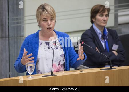 Ministre flamand de l'Environnement, de l'aménagement du territoire et de l'Agriculture Joke Schauvliege photographié lors d'une session plénière du Parlement flamand à Bruxelles, le mercredi 15 mars 2017. BELGA PHOTO KOEN BLANCKAERT Banque D'Images