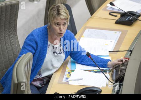 Flemish Minister of Environment, Spatial Planning and Agriculture Joke Schauvliege pictured during a plenary session of the Flemish Parliament in Brussels, Wednesday 15 March 2017. BELGA PHOTO KOEN BLANCKAERT Banque D'Images