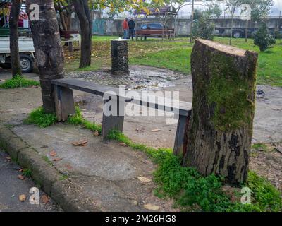 Ancien banc en bois. Souche hachée en mousse. Un morceau de bois en mousse verte. élément naturel. Énorme accroc. Branches sciées Banque D'Images