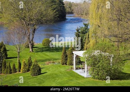 Pergola et Thuja - Cèdre dans les limites de paillis et Salix - saule de pleurement dans le jardin de cour au printemps. Banque D'Images