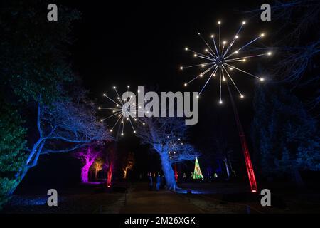 Woodstock, Angleterre, le 13th décembre 2022, Noël au Palais de Blenheim, Illuminated Trail - un affichage combinant plus d'un million de lumières et des chansons de Noël. Credit: Lu Parrott/Alamy Live News Banque D'Images