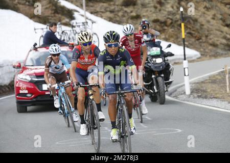 (G-D) Italien Domenico Pozzovivo de AG2R la Mondiale, Italien Vincenzo Nibali de Bahreïn-Merida, colombien Nairo Quintana de Movistar Team et russe Ilnur Zakarin de Katusha-Alpecin photographié en action pendant la seizième étape de la tournée à vélo Giro 2017 2017, à 222 km de Rovetta à Bormio, le mardi 23 mai, Italie. BELGA PHOTO YUZURU SUNADA Banque D'Images